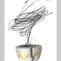 j3268-6-Lucky-Banana-72